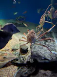 アクアワールド茨城県大洗水族館に投稿された画像（2026/5/4）