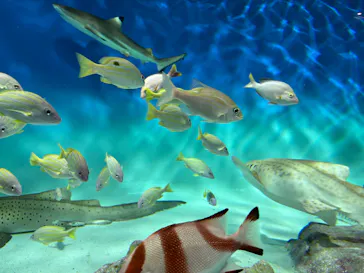 アクアワールド茨城県大洗水族館に投稿された画像（2026/5/4）