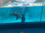下田海中水族館に投稿された画像（2026/5/4）