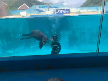下田海中水族館に投稿された画像（2026/5/4）