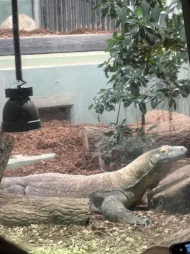 名古屋市東山動植物園に投稿された画像（2026/5/4）