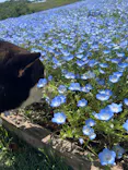 マザー牧場に投稿された画像（2026/5/4）