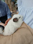 Moff animal cafe iias つくば店に投稿された画像（2026/5/4）