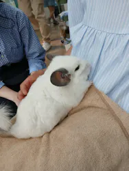 Moff animal cafe iias つくば店に投稿された画像（2026/5/4）