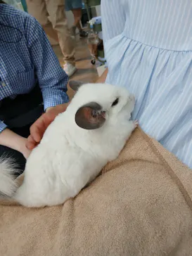 Moff animal cafe iias つくば店に投稿された画像（2026/5/4）