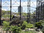 天王寺動物園に投稿された画像（2026/5/4）