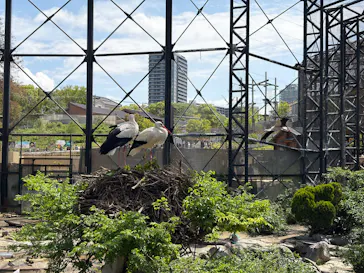 天王寺動物園に投稿された画像（2026/5/4）