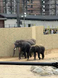 天王寺動物園に投稿された画像（2026/5/4）