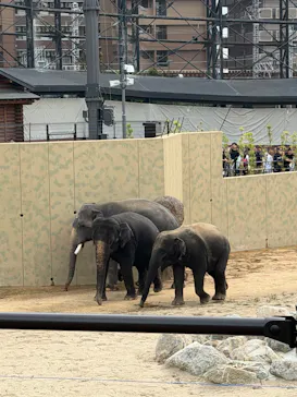 天王寺動物園に投稿された画像（2026/5/4）