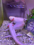 伊豆シャボテン動物公園に投稿された画像（2026/5/4）