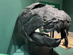 大絶滅展ー生命史のビッグファイブ（名古屋会場）に投稿された画像（2026/5/4）