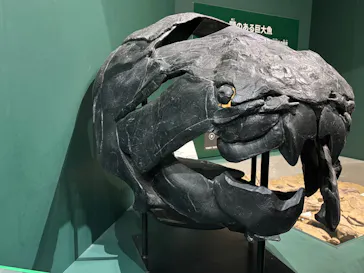 大絶滅展ー生命史のビッグファイブ（名古屋会場）に投稿された画像（2026/5/4）