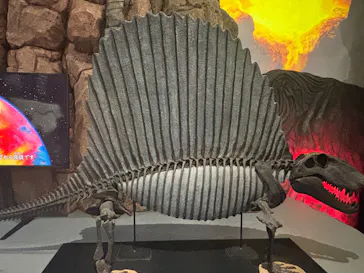 大絶滅展ー生命史のビッグファイブ（名古屋会場）に投稿された画像（2026/5/4）