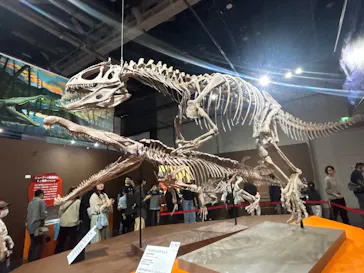 大絶滅展ー生命史のビッグファイブ（名古屋会場）に投稿された画像（2026/5/4）