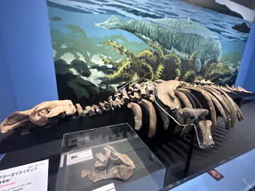 大絶滅展ー生命史のビッグファイブ（名古屋会場）に投稿された画像（2026/5/4）