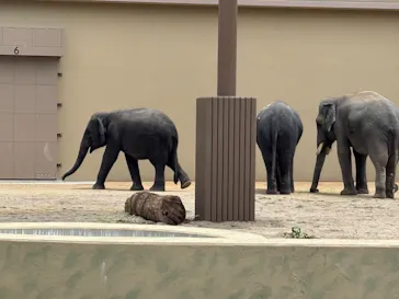 天王寺動物園に投稿された画像（2026/5/4）