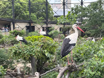 天王寺動物園に投稿された画像（2026/5/4）