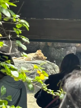 天王寺動物園に投稿された画像（2026/5/4）
