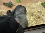 名古屋市東山動植物園に投稿された画像（2026/5/4）