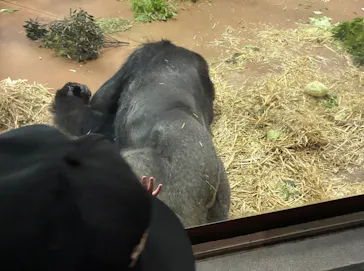 名古屋市東山動植物園に投稿された画像（2026/5/4）