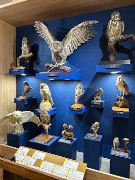 特別展「鳥 ～ゲノム解析が解き明かす新しい鳥類の系統～」に投稿された画像（2026/5/4）