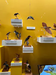 特別展「鳥 ～ゲノム解析が解き明かす新しい鳥類の系統～」に投稿された画像（2026/5/4）