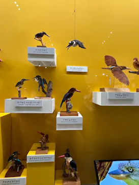 特別展「鳥 ～ゲノム解析が解き明かす新しい鳥類の系統～」に投稿された画像（2026/5/4）