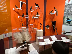 特別展「鳥 ～ゲノム解析が解き明かす新しい鳥類の系統～」に投稿された画像（2026/5/4）