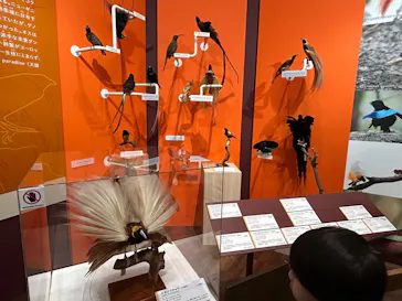 特別展「鳥 ～ゲノム解析が解き明かす新しい鳥類の系統～」に投稿された画像（2026/5/4）