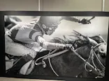 武豊 デビュー40年 ～前人未到の記録～　（銀座三越）に投稿された画像（2026/5/4）