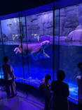 横浜・八景島シーパラダイスに投稿された画像（2026/5/4）