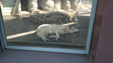 天王寺動物園に投稿された画像（2026/5/4）