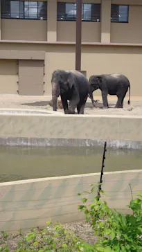 天王寺動物園に投稿された画像（2026/5/4）