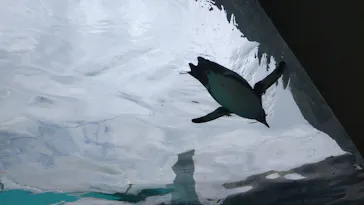 天王寺動物園に投稿された画像（2026/5/4）