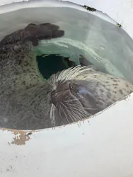 しながわ水族館に投稿された画像（2026/5/4）