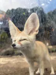 伊豆シャボテン動物公園に投稿された画像（2026/5/4）
