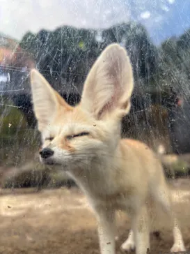伊豆シャボテン動物公園に投稿された画像（2026/5/4）