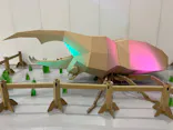 ”世界は昆虫であふれている”世界の昆虫展inえひめに投稿された画像（2026/5/4）