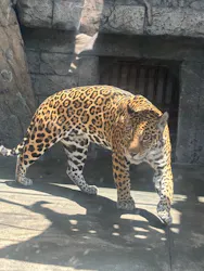 天王寺動物園に投稿された画像（2026/5/4）