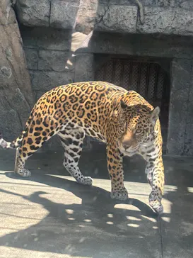 天王寺動物園に投稿された画像（2026/5/4）