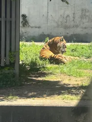 天王寺動物園に投稿された画像（2026/5/4）