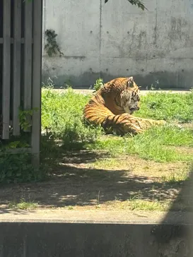 天王寺動物園に投稿された画像（2026/5/4）