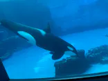 名古屋港水族館に投稿された画像（2026/5/4）
