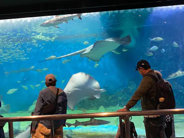 越前松島水族館に投稿された画像（2026/5/4）
