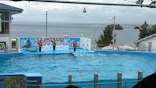 のとじま水族館に投稿された画像（2026/5/4）
