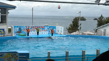のとじま水族館に投稿された画像（2026/5/4）
