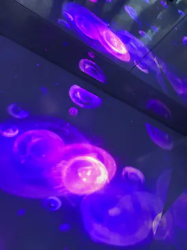 のとじま水族館に投稿された画像（2026/5/4）