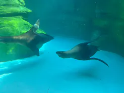 天王寺動物園に投稿された画像（2026/5/4）