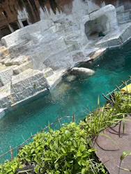天王寺動物園に投稿された画像（2026/5/4）
