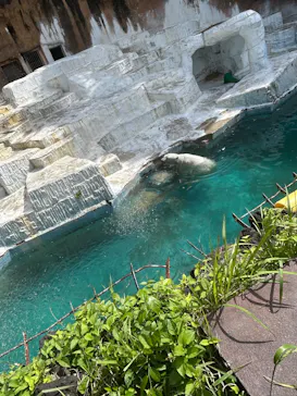 天王寺動物園に投稿された画像（2026/5/4）